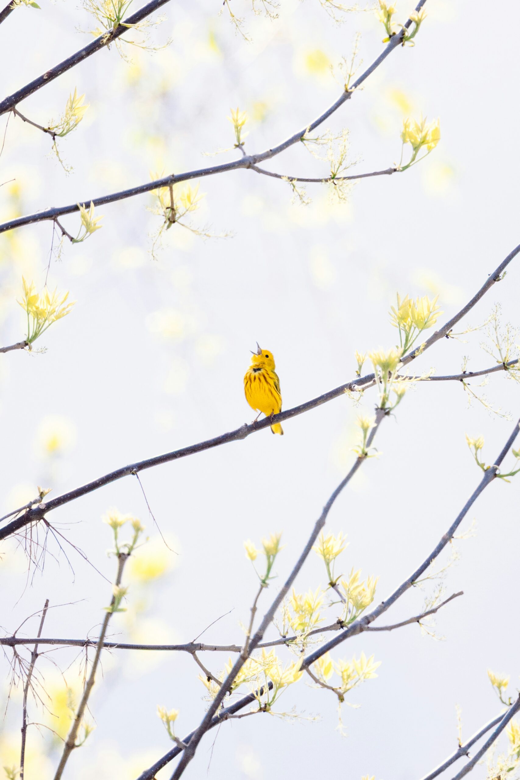Buddhism – My Personal Journey (Part -1)