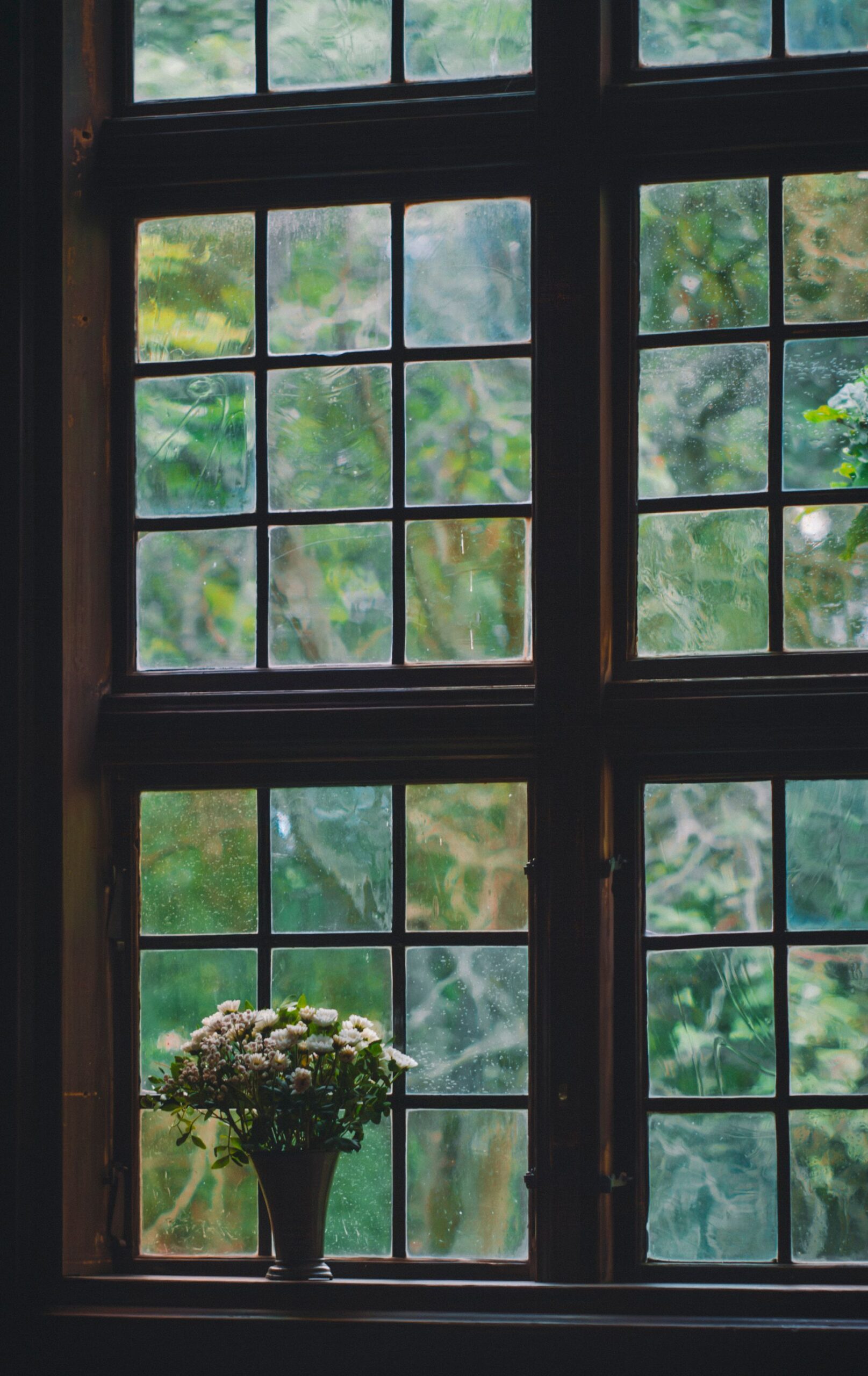 Looking Through Glass